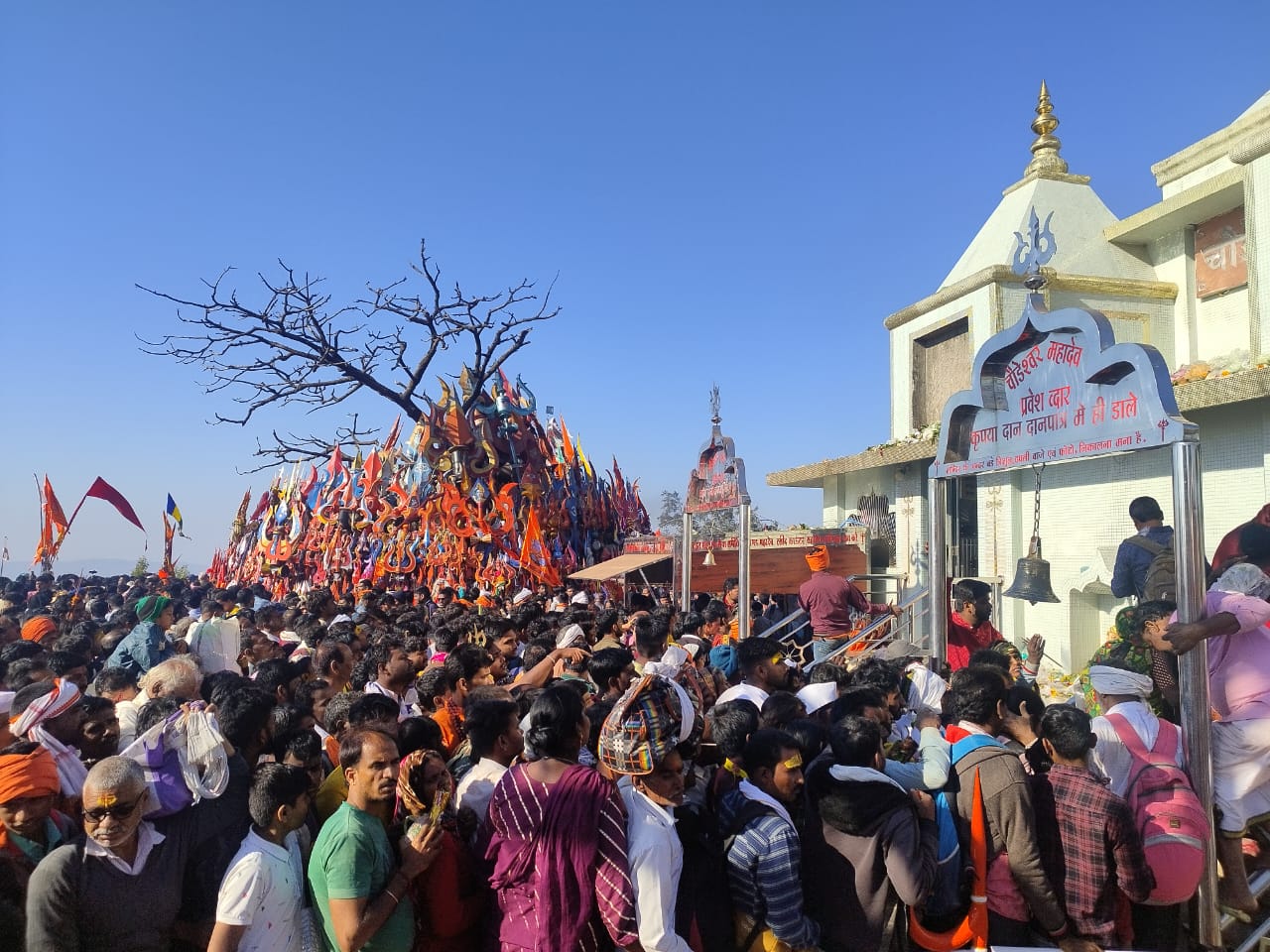 महाशिवरात्रि पर्व पर शिवमय हुआ संपूर्ण जिला