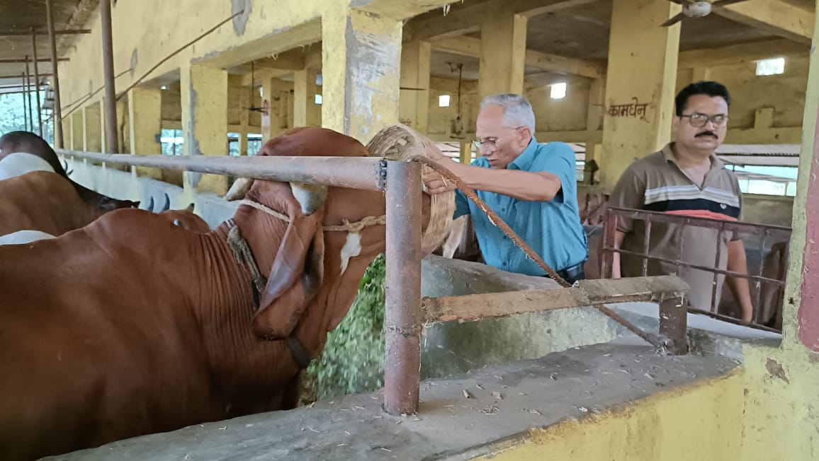 गौवंश रक्षा वर्ष 2024 : गौ ग्रास के लिए 1100 रूपए का दान किया