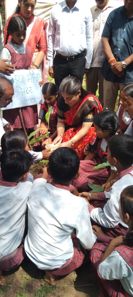 वृक्ष प्रकृति का महत्वपूर्ण अंग, इनको सहेजना हमारी नैतिक जिम्मेदारी – कलेक्टर