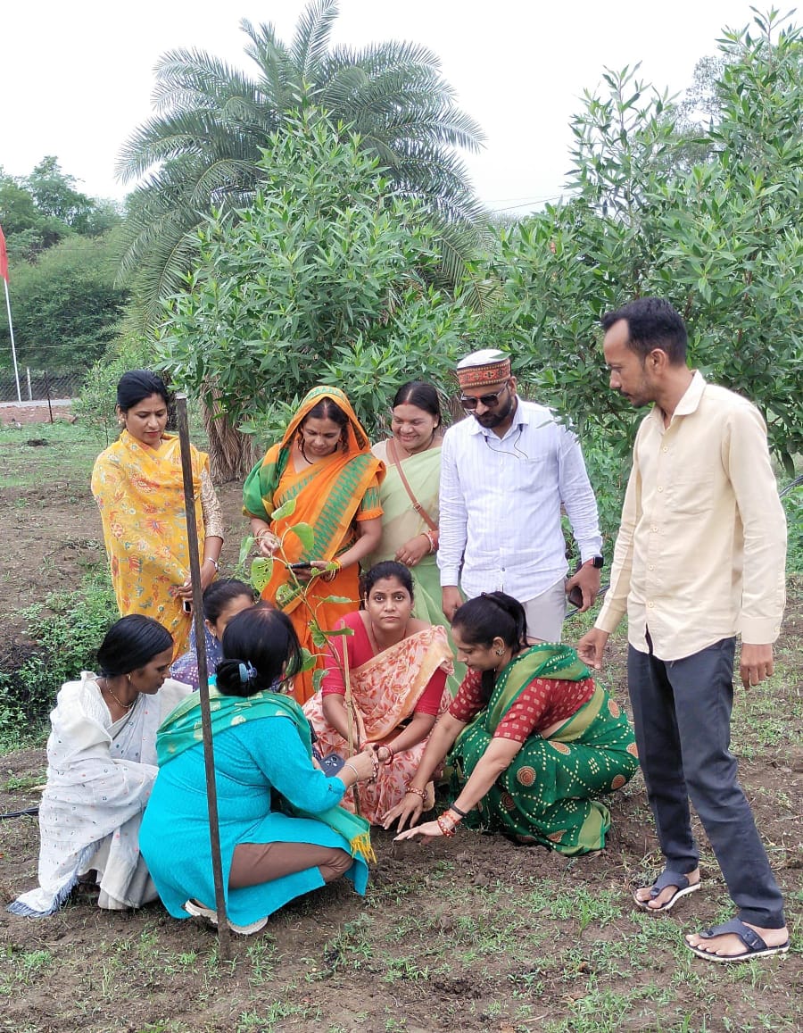 महिला मोर्चा नर्मदापुर मंडल ने एक पेड़ मां के नाम अभियान अंतर्गत पीपल के दो पौधे रोपित किए