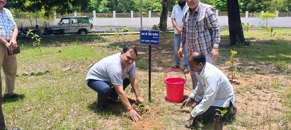 नर्मदापुरम संभाग के अपर आयुक्त ने आयुक्त कार्यालय परिसर में किया पौधारोपण