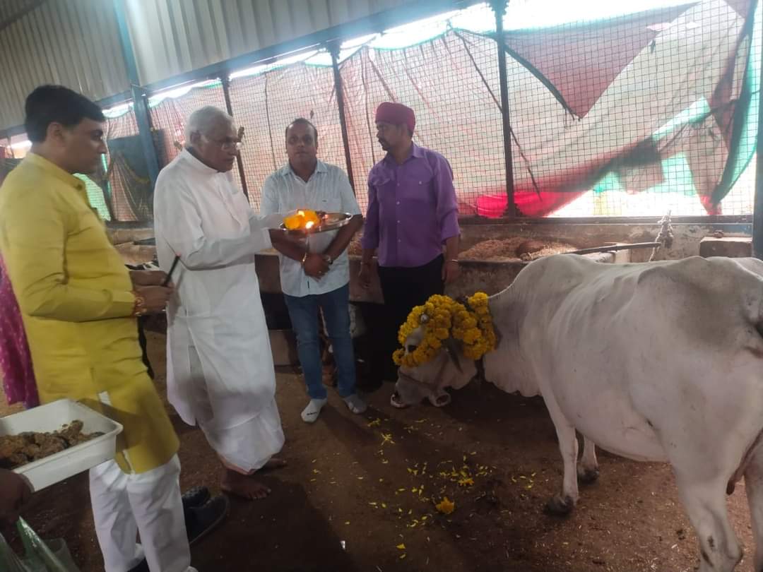 सांसद एवं विधायकगणों ने मंदिरों में आयोजित जन्‍माष्‍टमी के कार्यक्रम में सहभागिता निभाई एवं गौशाला पहुंच कर की गौसेवा